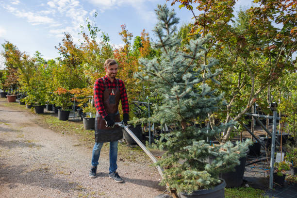 Best Commercial Tree Services  in Wharton, NJ